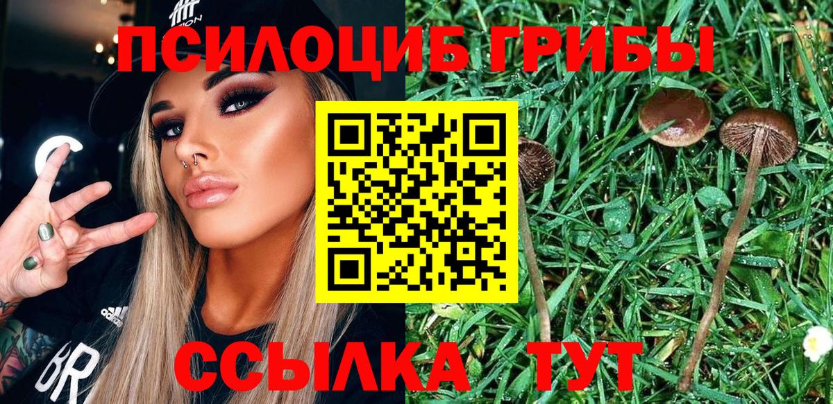 Луга  Галлюциногенные грибы ЛСД  как найти   Вход с VPN 